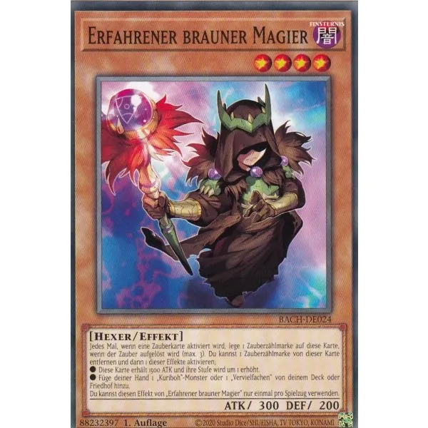 Erfahrener brauner Magier