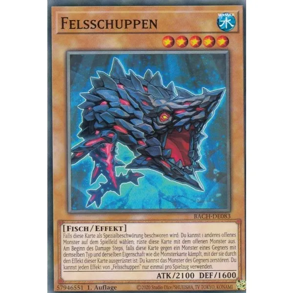 Felsschuppen